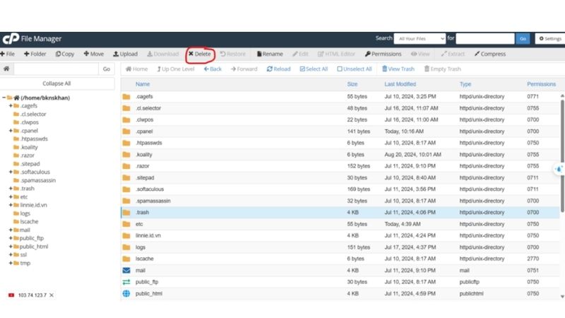 Hướng dẫn kiểm tra dung lượng hosting với cPanel